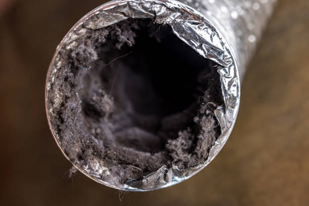 Best Air Duct Cleaning Near Me  in Brooks, KY